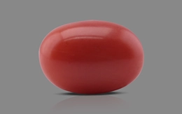 Red Coral - CC 5568 (Origin - Italy) Limited - Quality